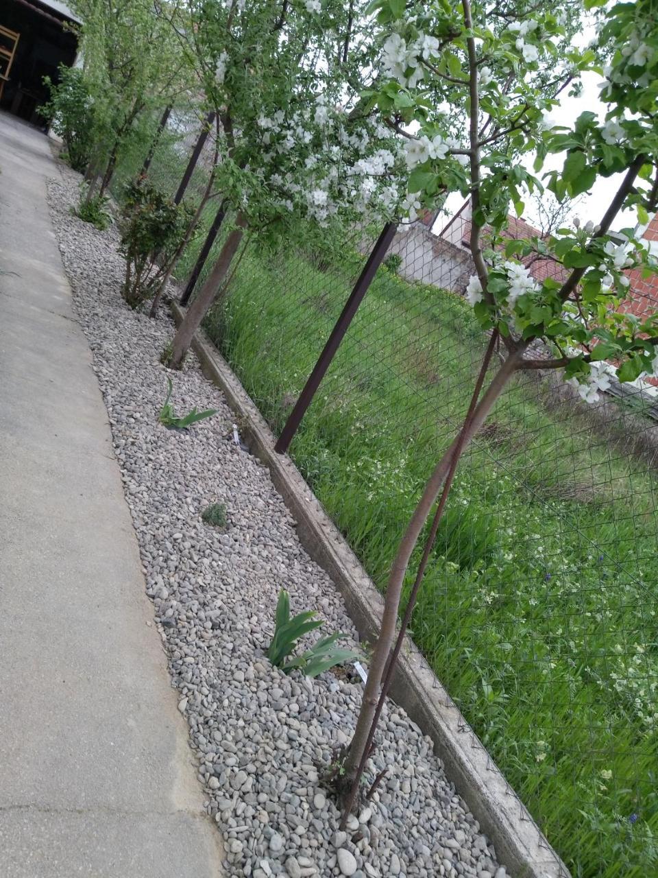 Petros Apartmani Vukovar Exterior photo